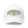 Embroidered 'ANDIAMO' Chef Logo Cap — Closed-Back Structured Hat
